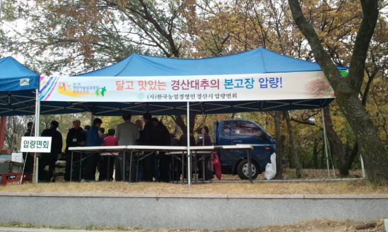 경북경산 농업경영인 회 체육대회 