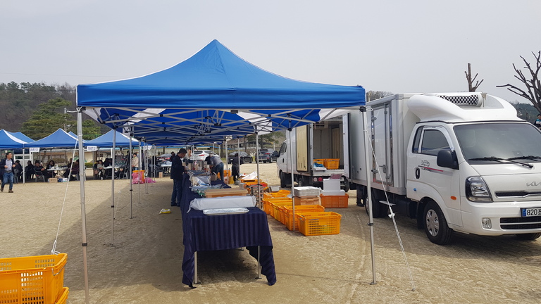 영주 순흥초등학교 총동창회 체육대회 행사 